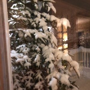 Meet your Posher, Regina